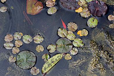 《Good Job》开发商Paladin工作室倒闭 遣散45名员工